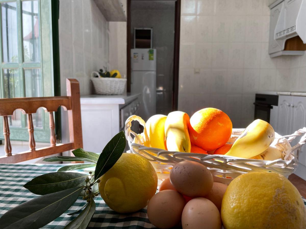 Casa Rural Finca De Las Encarnaciones Bajas Villanueva de San Juan Ngoại thất bức ảnh