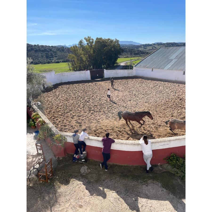 Casa Rural Finca De Las Encarnaciones Bajas Villanueva de San Juan Ngoại thất bức ảnh