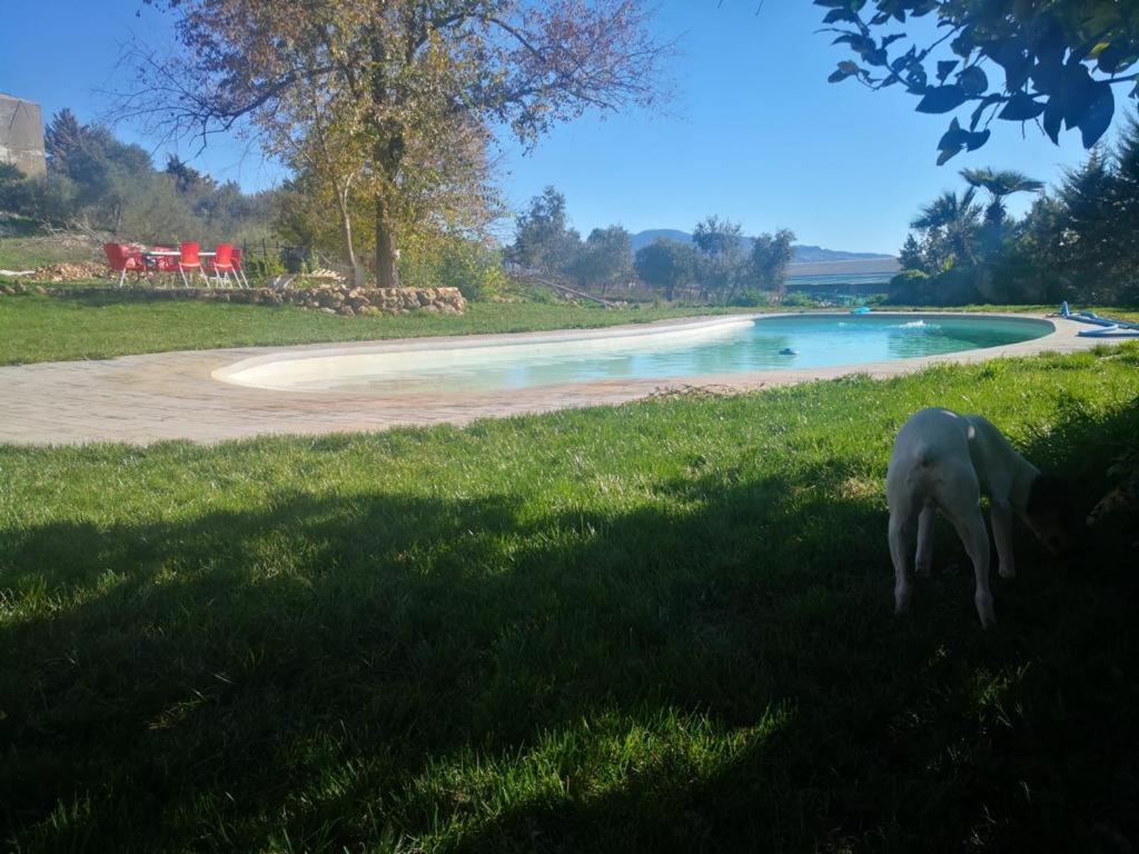 Casa Rural Finca De Las Encarnaciones Bajas Villanueva de San Juan Ngoại thất bức ảnh